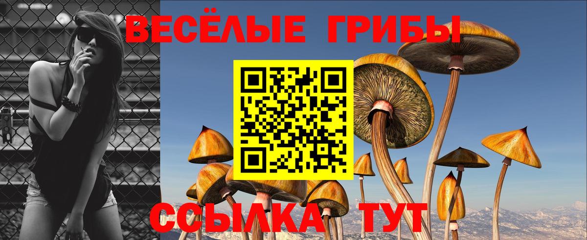 Батайск  Галлюциногенные грибы Magic Shrooms  Вход с VPN 